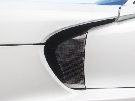 VR Aero 13-17 SRT Viper Carbon Fiber Side Fender Inserts on Sale