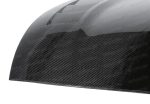 Seibon 09-10 Nissan 370Z TS Carbon Fiber Hood For Discount